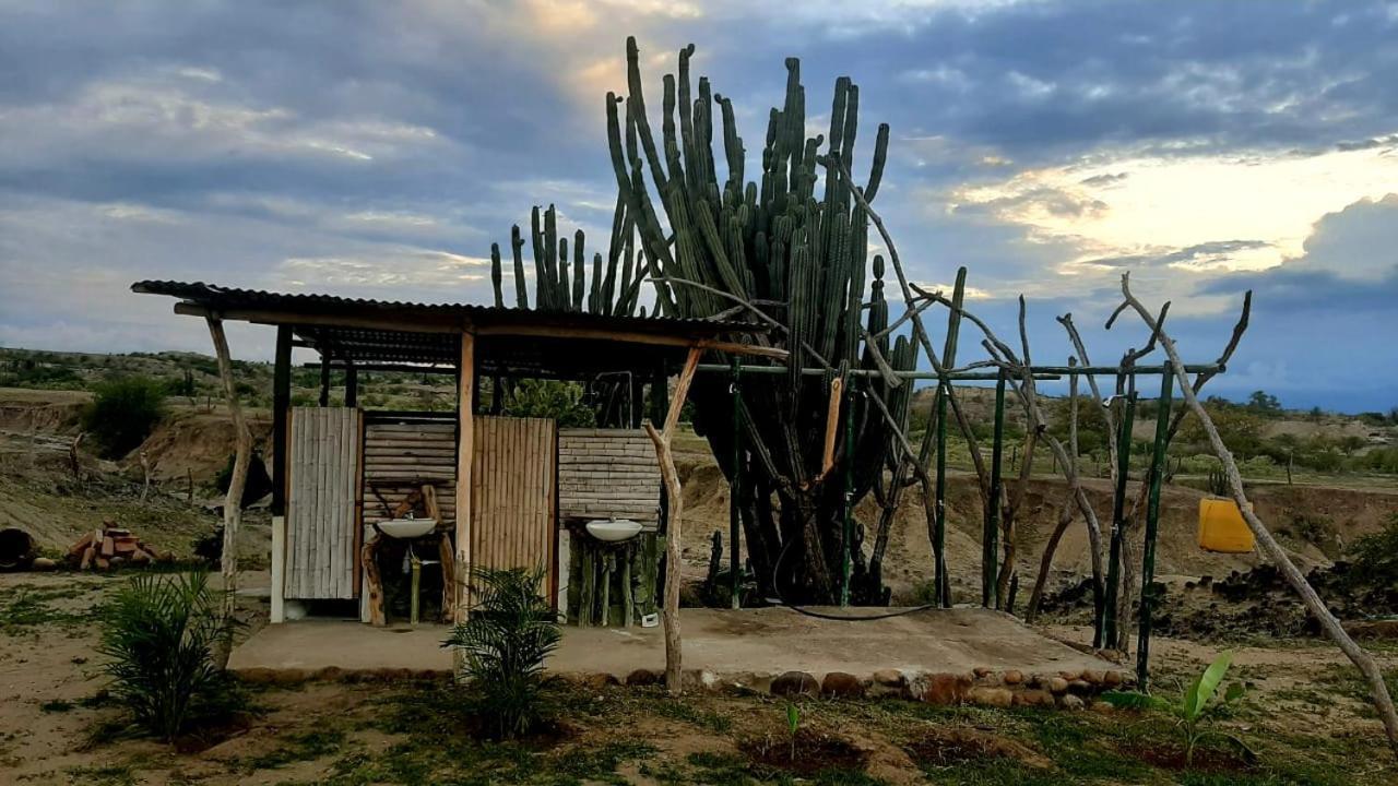 Pachingo La Primavera Villavieja Exteriör bild