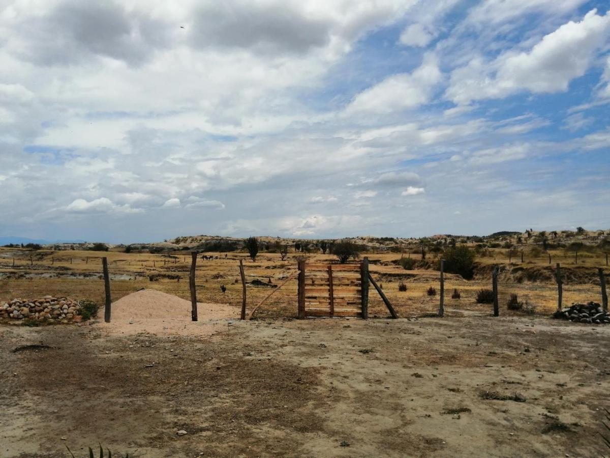 Pachingo La Primavera Villavieja Exteriör bild