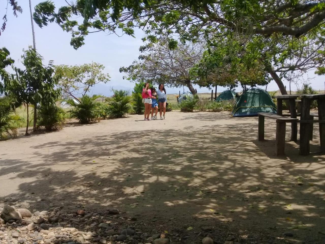 Pachingo La Primavera Villavieja Rum bild