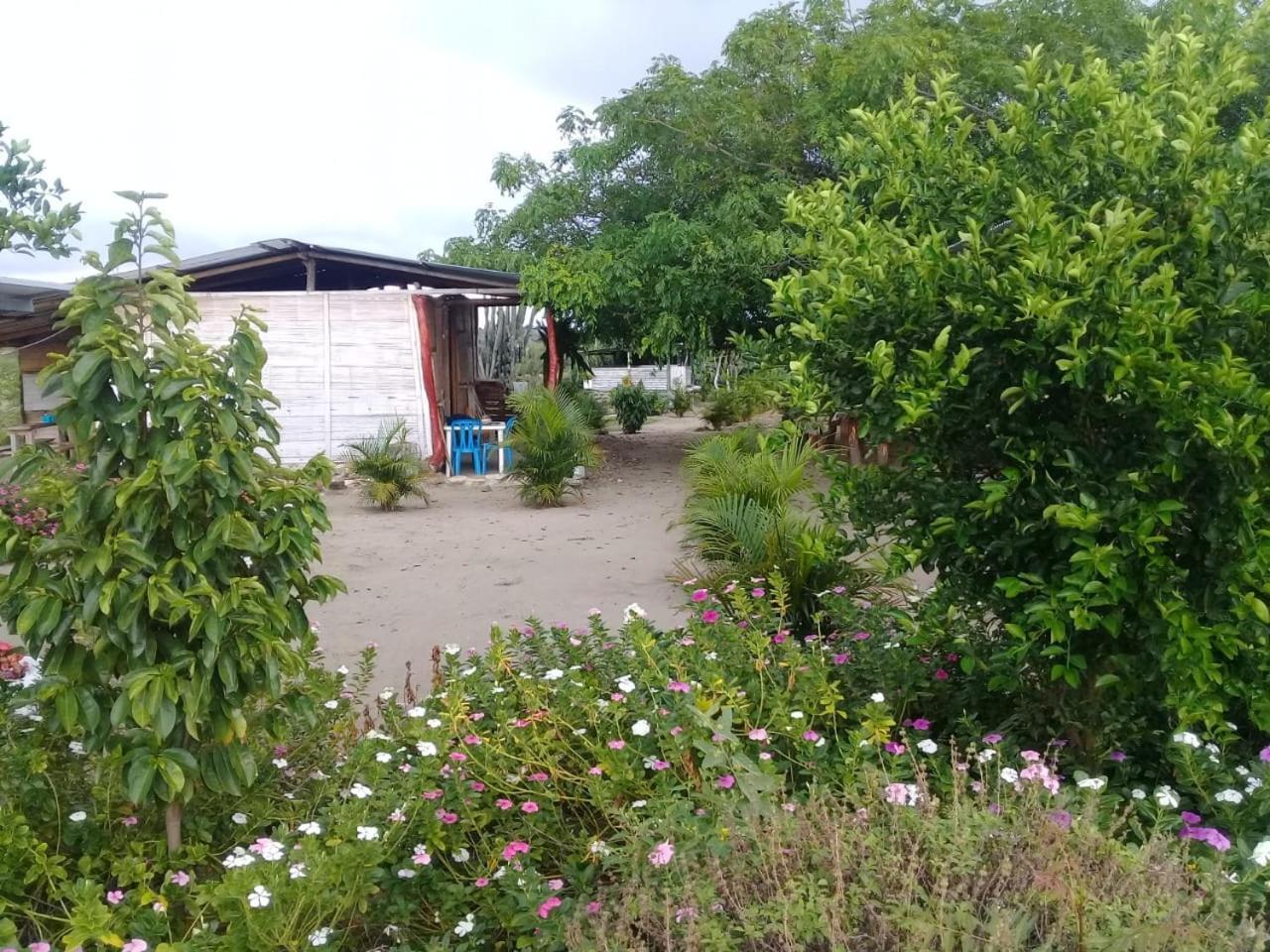 Pachingo La Primavera Villavieja Rum bild